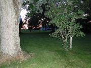 DSC00384