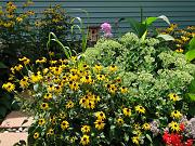 DSC00506