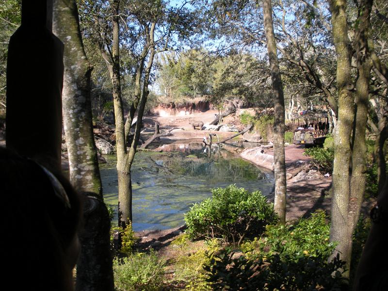 DSCN0486.JPG