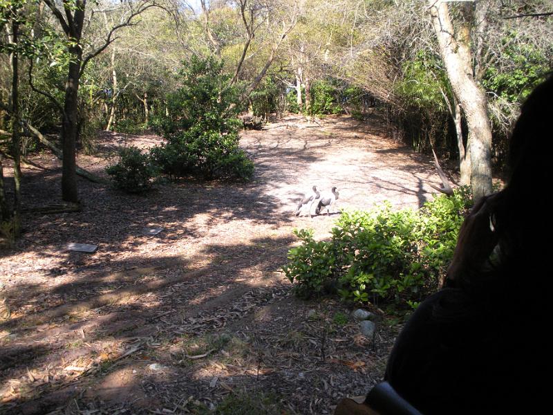 DSCN0488.JPG