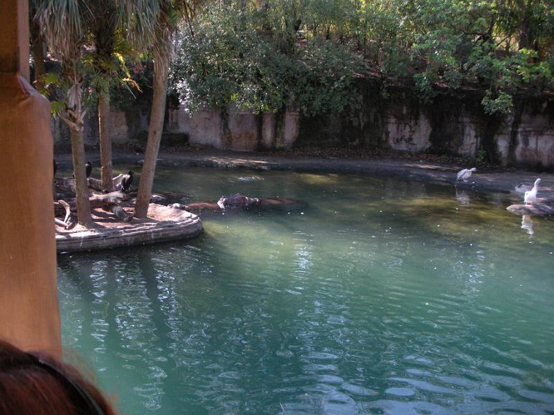 DSCN0491.JPG