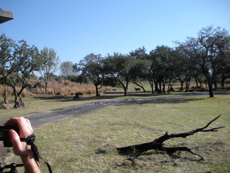 DSCN0498.JPG