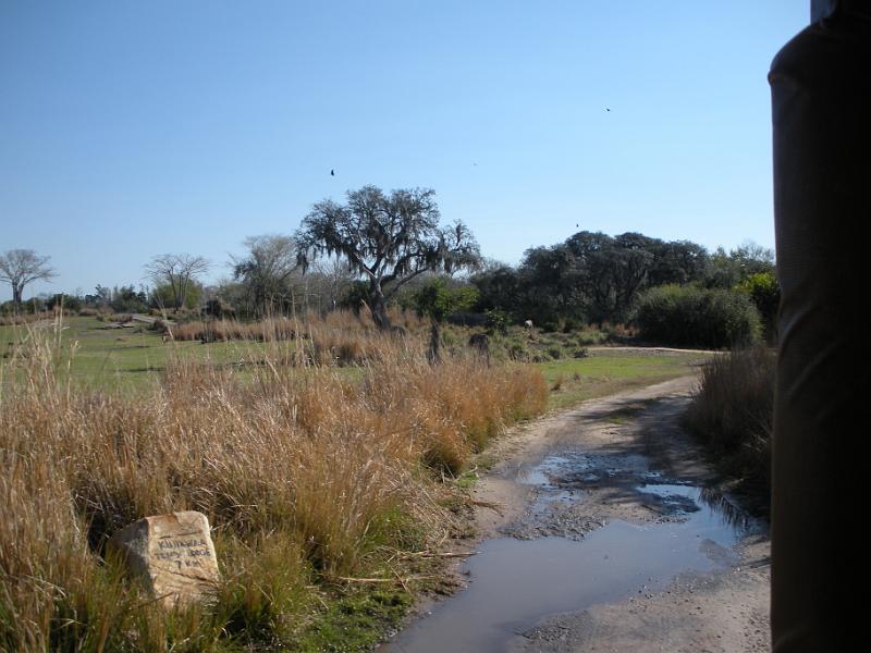 DSCN0502.JPG
