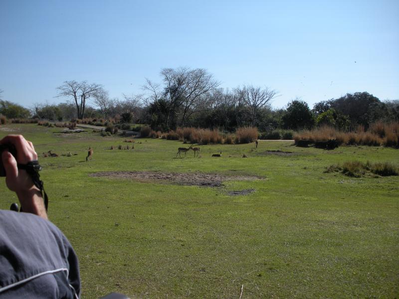 DSCN0504.JPG