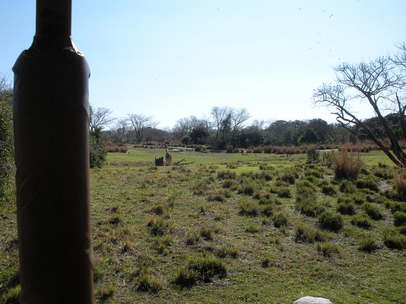 DSCN0506.JPG