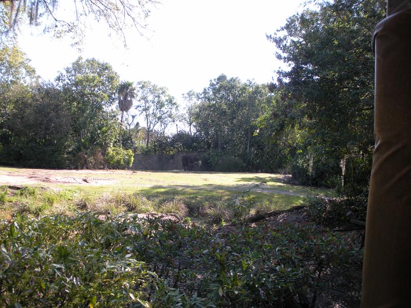 DSCN0510.JPG