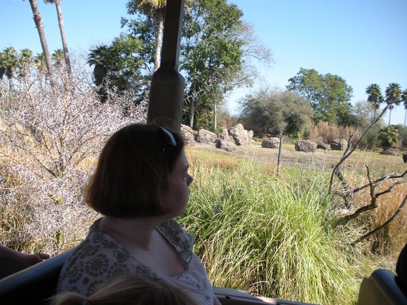 DSCN0514.JPG