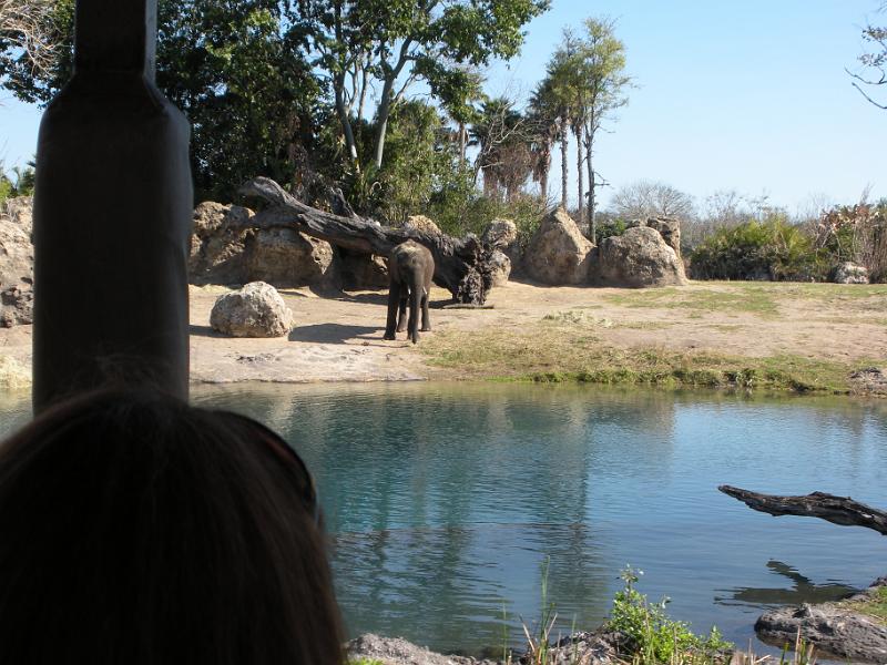 DSCN0516.JPG