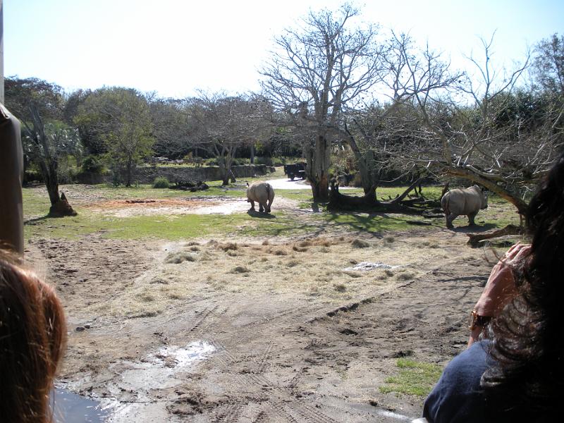 DSCN0518.JPG