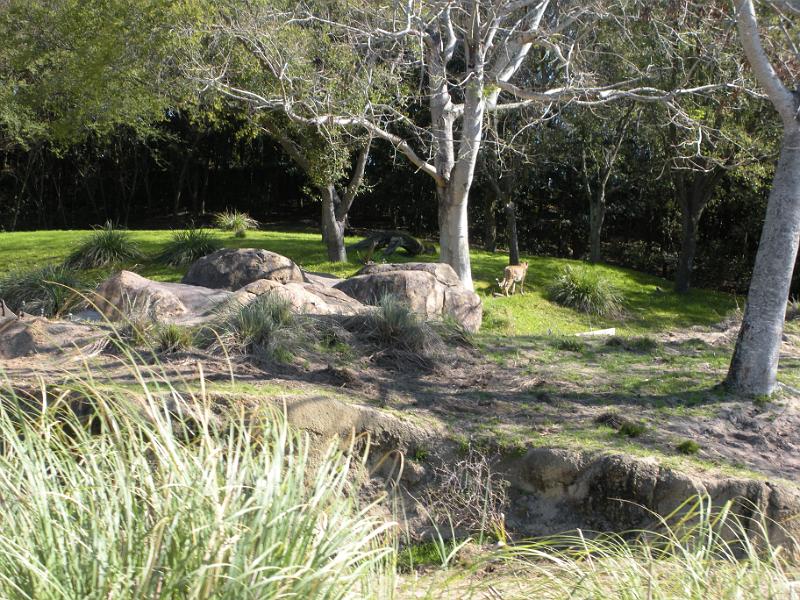 DSCN0524.JPG