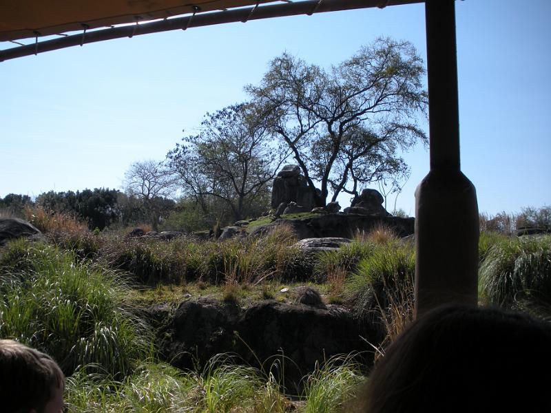 DSCN0528.JPG