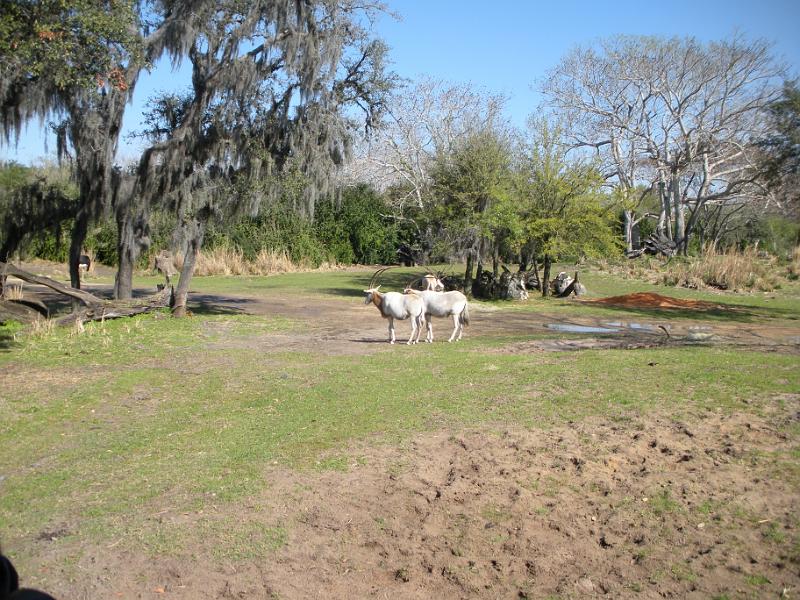 DSCN0534.JPG