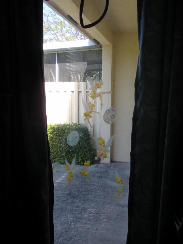 DSCN0795.JPG