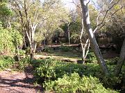 DSCN0485