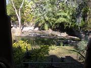 DSCN0492