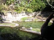 DSCN0493
