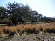 DSCN0501