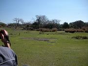 DSCN0504