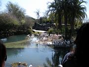 DSCN0517