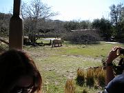 DSCN0519
