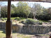 DSCN0523