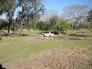 DSCN0534