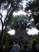 DSCN0548