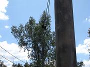 DSCN0550