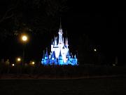 DSCN0604
