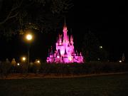 DSCN0615