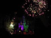 DSCN0652