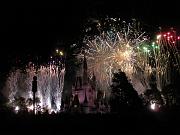 DSCN0667