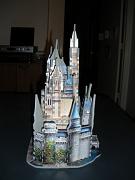 DSCN0698