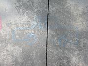 DSCN0738