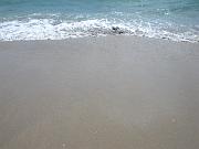 DSCN0759