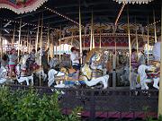 DSCN0800