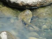 DSC00918