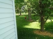 DSC00819